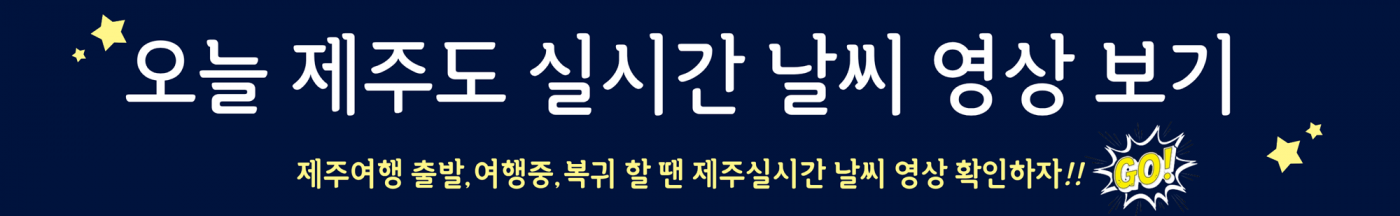 제주도 오늘 실시간 날씨 영상